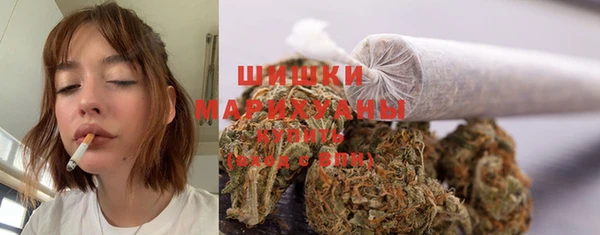 a pvp Горняк