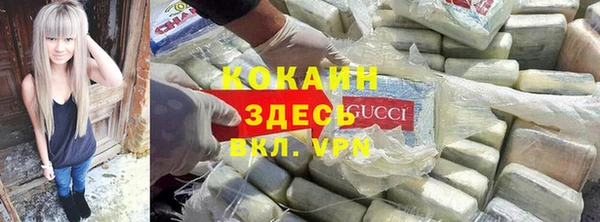 a pvp Горняк