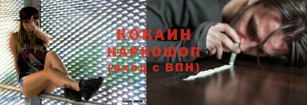 a pvp Горняк